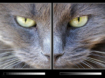 What is LED Display Grey Level?